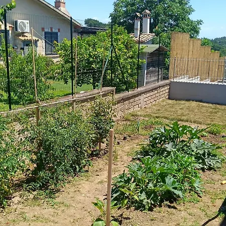Apartman Oasi 29 *