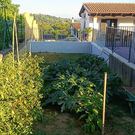Oasi 29 * Morlupo