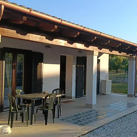 Oasi 29 *